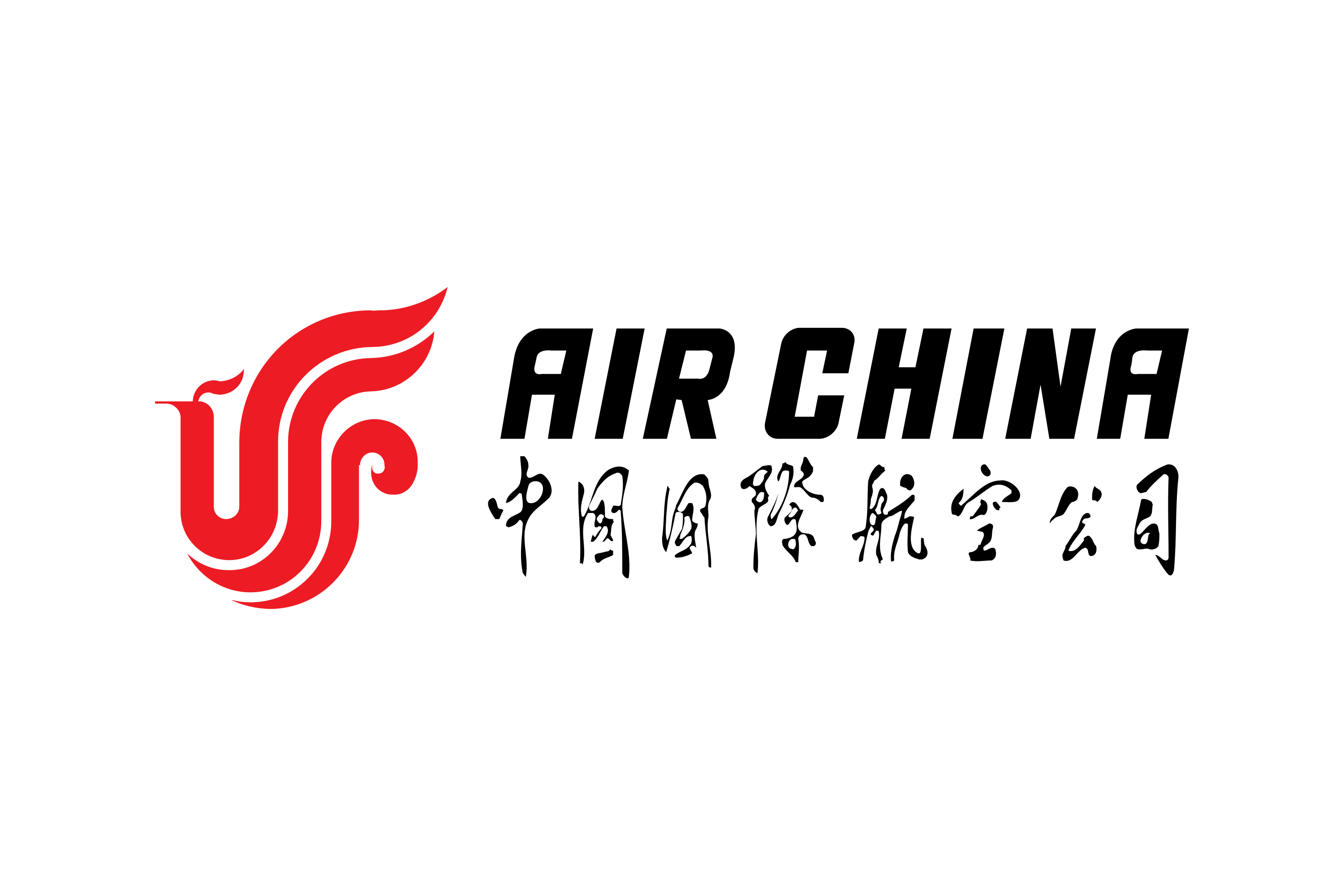 Air China partner airline